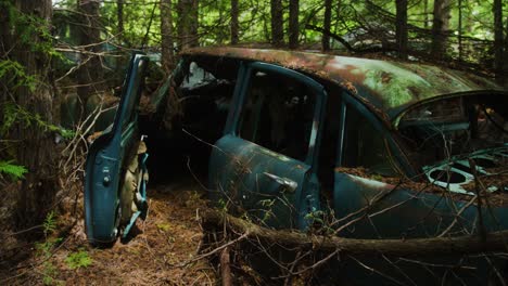 Die-Hülle-Eines-Verlassenen-Autos-Aus-Den-1950er-Jahren,-Das-überall-Mit-Moos-Und-Ästen-Bedeckt-Ist-Und-Verrottet