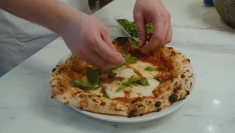 Adding-Basel-leaves-onto-freshly-baked-Neapolitan-pizza-with-mozzarella-cheese