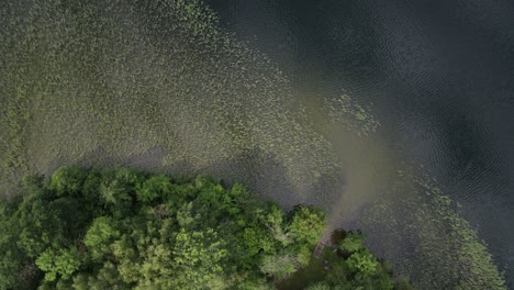 Lake-island-summer-morning-vertical-aerial-video