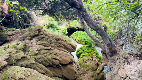 A-small-stream-flows-through-Croatian-wetlands-in-Krka-National-Park