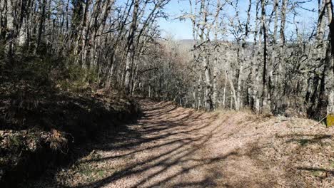 Dolly-Entlang-Eines-Mit-Gras-Und-Blättern-Bedeckten-Pfades-Mit-Langen-Ästen,-Die-Schatten-Von-Eichenbäumen-Werfen