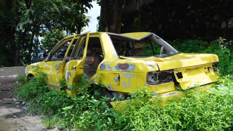 Abandoned-broken-and-decaying-yellow-taxi-cab-vehicle-with-smashed-windows-with-nature-taking-over-car-in-the-capital-city-of-East-Timor,-Southeast-Asia