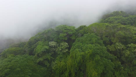 Drone-flying-over-the-forest-in-Minca,-Colombia-at-dawn-with-fog