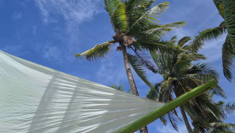 Palmen-Und-Segel-Eines-Katamarans-An-Einem-Sonnigen,-Windigen-Tropischen-Tag