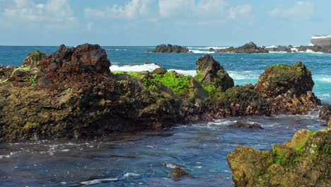 Volcanic-Rocks-and-Lush-Algae-on-Tenerife-Island-Coastline:-Crashing-Waves