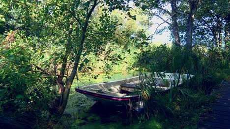 A-well-hidden-square-fronted-dinghy-boat-in-a-lagoon-surrounded-by-trees-on-a-hot-summer-day