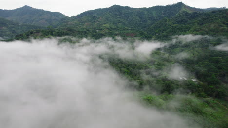 Aerial-panoramic-view-of-wild-nature