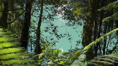 Slow-Motion-pan-in-a-lush-green-forest-with-turquoise-river-in-background---Hokitika-Gorge,-New-Zealand