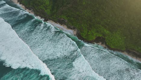 Long-rolling-waves-hitting-tropical-Uluwatu-shore-with-green-jungle,-aerial