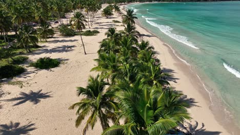 Aerial-flying-over-palm-trees-on-La-Boca-del-Diablo-beach,-Samana,-Dominican-Republic