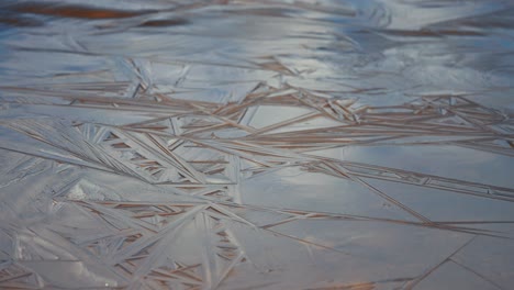 A-beautiful-pattern-on-the-thin-ice-on-the-surface-of-the-shallow-pond