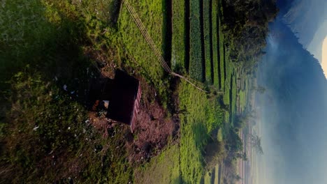 Fertile-patchwork-agricultural-crops-in-valley-drone-fly-through,-with-mystic-light