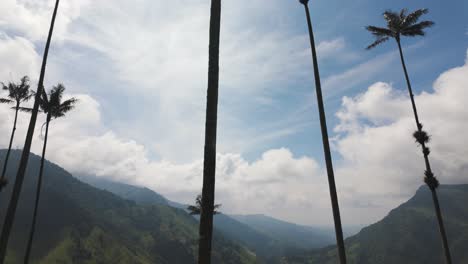 Establishing-large-wax-palm-trees-and-colombia-cocora-valley-on-sunny-day