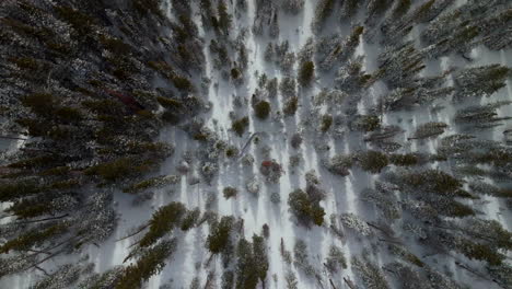 Ojo-De-Pájaro-Nevado-Paso-De-Berthoud-Invierno-Parque-Bosque-Nacional-Escénico-Paisaje-Vista-Aérea-Zumbido-Travesía-Esquí-Snowboard-Berthod-Jones-Colorado-Montañas-Rocosas-Picos-Alta-Elevación-Círculo-Ascendente-Izquierda