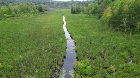 Beautiful-Wetland-Ecosystem-Aerial-POV