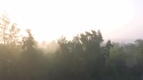 Aerial-drone-view-drone-camera-with-sun-rays-falling-from-behind-tall-trees-and-drone-camera-moving-to-the-side