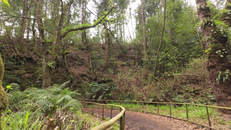 Senderismo-Pov-A-Lo-Largo-De-La-Exuberante-Ruta-De-Senderismo-Levada-De-La-Isla-Madeira,-Cámara-Lenta