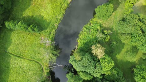 Fluss-In-Der-Nähe-Von-Wiese-Und-Wald-Im-Hochsommer-Luftaufnahme-Von-Oben