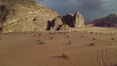Menschen-Auf-Eseln-In-Der-Arabischen,-Nahöstlichen-Wadi-Rum-Wüste,-Luftaufnahme