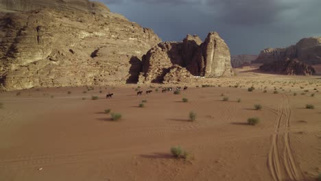 People-on-Donkey-Mules-in-Arabian,-Middle-Eastern-Wadi-Rum-Desert,-Aerial