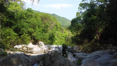 Ruhiger-Waldbach,-Der-über-Felsen-Fließt,-üppiges-Grün,-Tageslicht,-Heitere-Naturszene