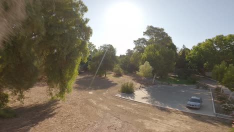 Luftaufnahmen-Bei-Tageslicht-über-Den-Bäumen-Im-Kurpark-Im-Marmolejo-Spa-Komplex-In-Der-Provinz-Jaén,-Andalusien,-Südspanien