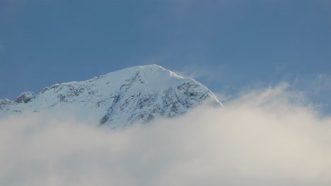 Eisiger-Nebel-Bedeckt-Schneebedeckte-Kiefern-Am-Berghang