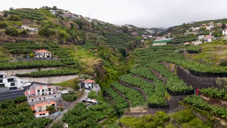 Piérdete-En-Las-Majestuosas-Vistas-De-Los-Acantilados-De-Madeira-Mientras-El-Dron-Captura-Los-Espectaculares-Paisajes-Con-Sorprendente-Detalle.