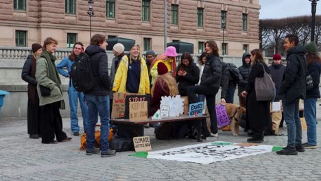 Klimaprotestler-Von-Young-Fridays-For-Future-Bei-Schulstreik-In-Schweden