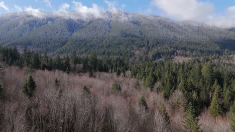 Cordillera-De-Bosque-Siempreverde-En-Un-Cielo-Parcialmente-Nublado-En-La-Curva-Norte-Del-Estado-De-Washington-En-El-Noroeste-Del-Pacífico