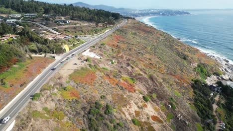 paragliding-flights-over-the-road-to-the-edge-of-the-beach