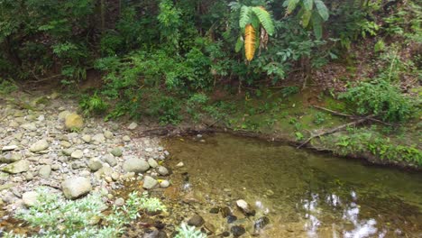 Luftaufnahme-über-Einen-Bach,-Der-Durch-Waldblätter-Und-Äste-Mit-Dichter-Und-üppiger-Vegetation-In-Kolumbien-Fließt