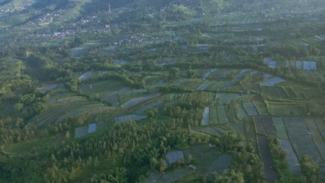 Vista-Aérea-De-Una-Plantación-Más-Grande-En-El-Campo-De-Indonesia.