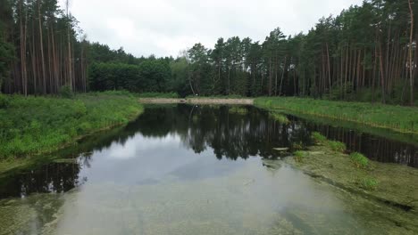 lake-lagoon-water-lock-dried-up-brook-aerial-dolly-on-cloudy-day