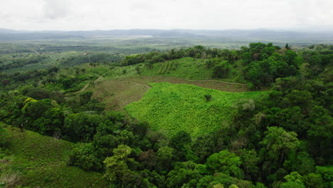 Aerial-footage-of-tropical-nature,-forest-and-cultivated-landscape