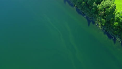 Luftaufnahme-Eines-Smaragdgrünen-Wassersees-Mit-Fluss,-Umgeben-Von-Grünen-Waldbäumen