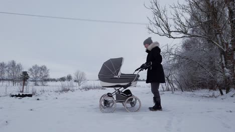 Single-mother-release-baby-carriage-brake-system-and-continue-walk