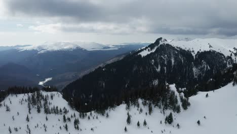 Schneebedeckte-Ciucas-Berglandschaft-Mit-Kiefern-Unter-Bewölktem-Himmel