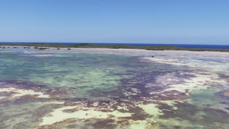 Aerial-view-coral-reef-crystal-caribbean-sea,-tilt-up-Los-Roques-Archipelago