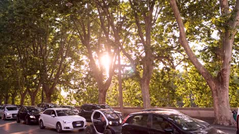 Slow-Motion-Wide-Panning-Shot-of-Lens-Flares-as-the-Sun-Peeks-through-Beautiful-Trees-on-Italian-City-Road-with-Traffic