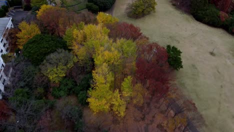 Colorful-autumn-trees-next-to-a-building,-overcast-sky,-aerial-view