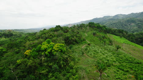Fly-above-tropical-forest