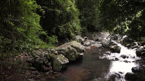 Blick-Auf-Cave-Creek-Vom-Wanderweg,-Natural-Bridge,-Springbrook-Nationalpark