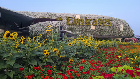 Dubai-Miracle-Garden-UAE,-Emirates-Cargo-Airplane-Covered-With-Flowers,-Panorama