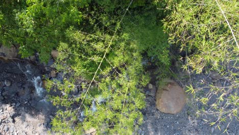 Fluss,-Natur,-Grüner-Dschungel,-Eine-Reise-Durch-Den-Tropischen-Wald-In-Risaralda,-Kolumbien