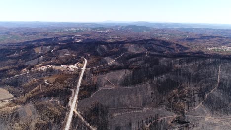 Damaged-forest-after-fire-Aerial-View
