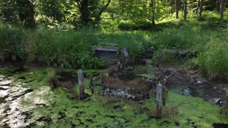 Alten-Wasserdamm-Im-Busch-Auf-See-Antenne-Zirkulierende-Links