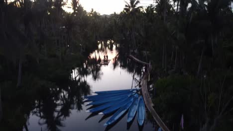 Maasin-river-palm-forest-in-Siargao-at-sunset,-aerial