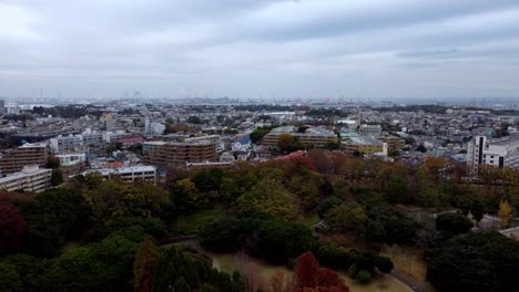 Eine-Skyline-Der-Stadt-Mit-Herbstlich-Gefärbten-Bäumen-An-Einem-Bewölkten-Tag,-Luftaufnahme