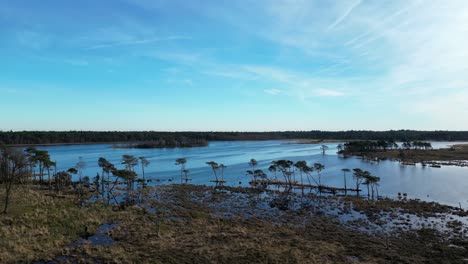 Drone-Kalmthoutse-Heide-Volando-Directamente-Sobre-Los-Humedales-Y-Sobre-El-Agua